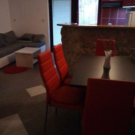 Studio Apartman Hrast 塞利讷 外观 照片