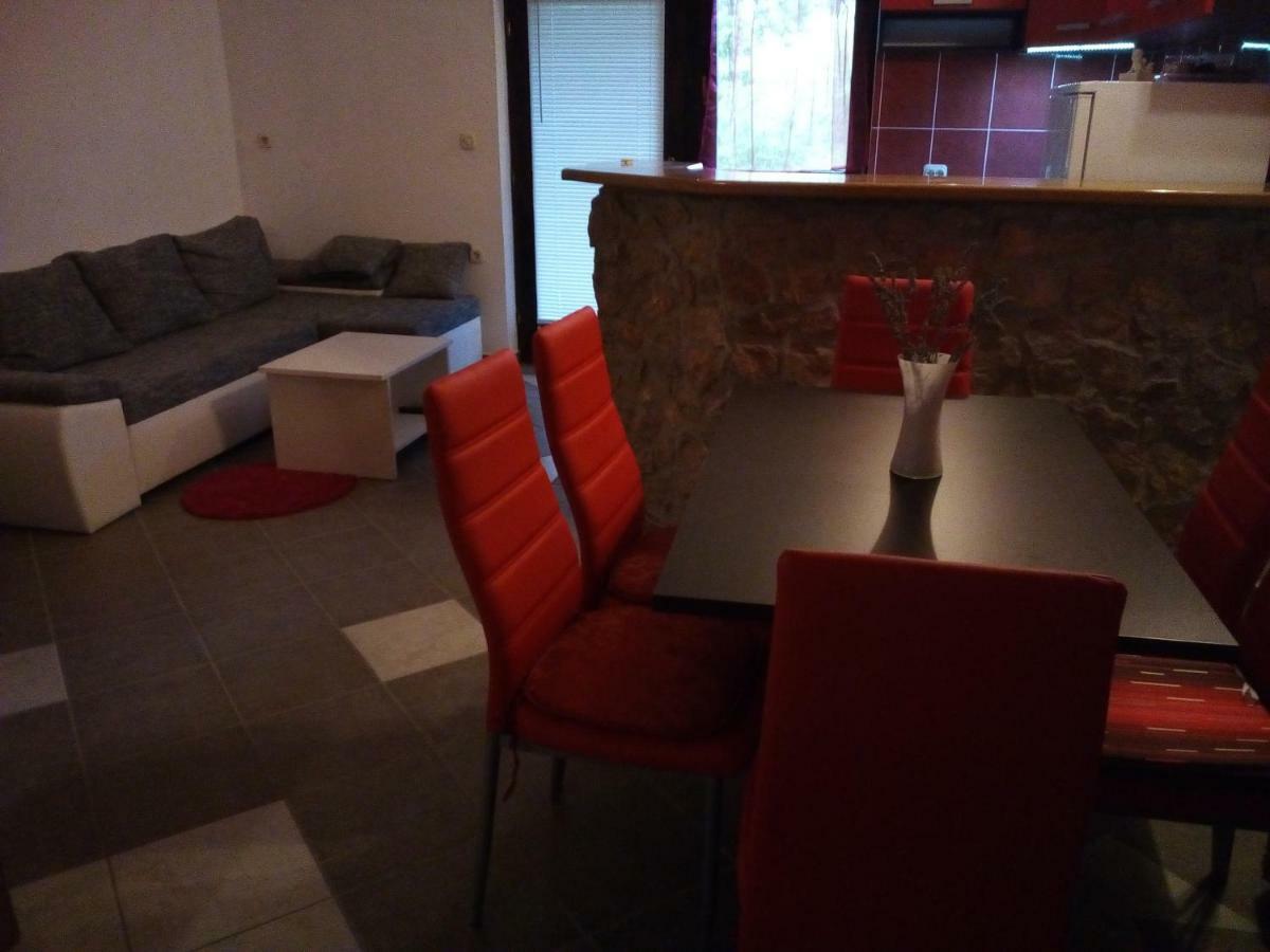 Studio Apartman Hrast 塞利讷 外观 照片