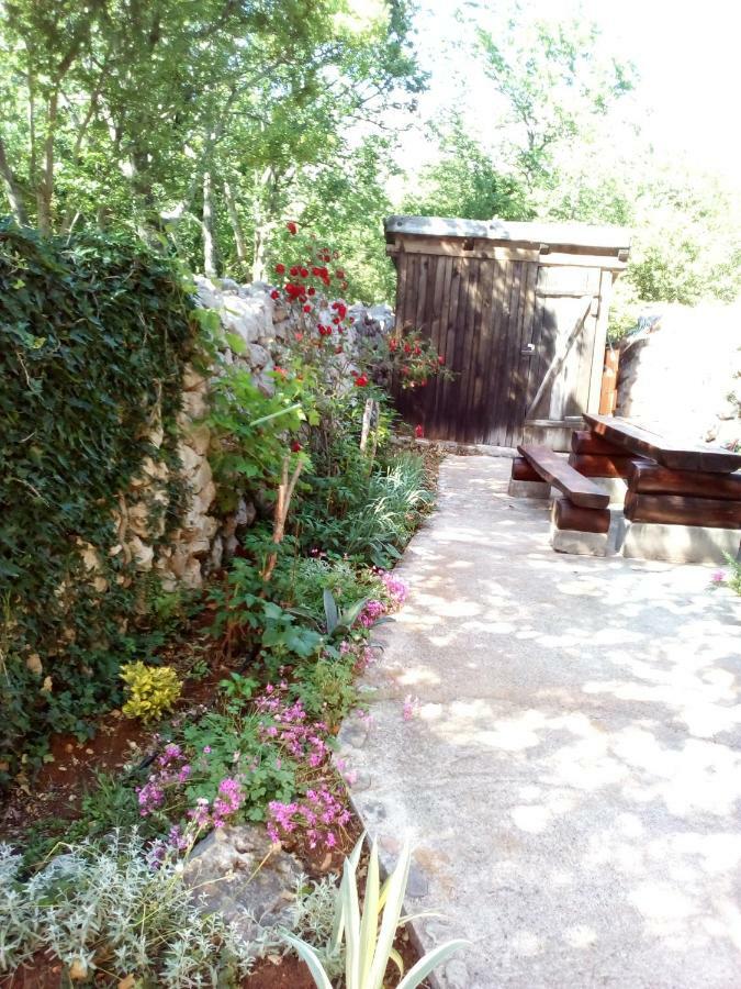 Studio Apartman Hrast 塞利讷 外观 照片