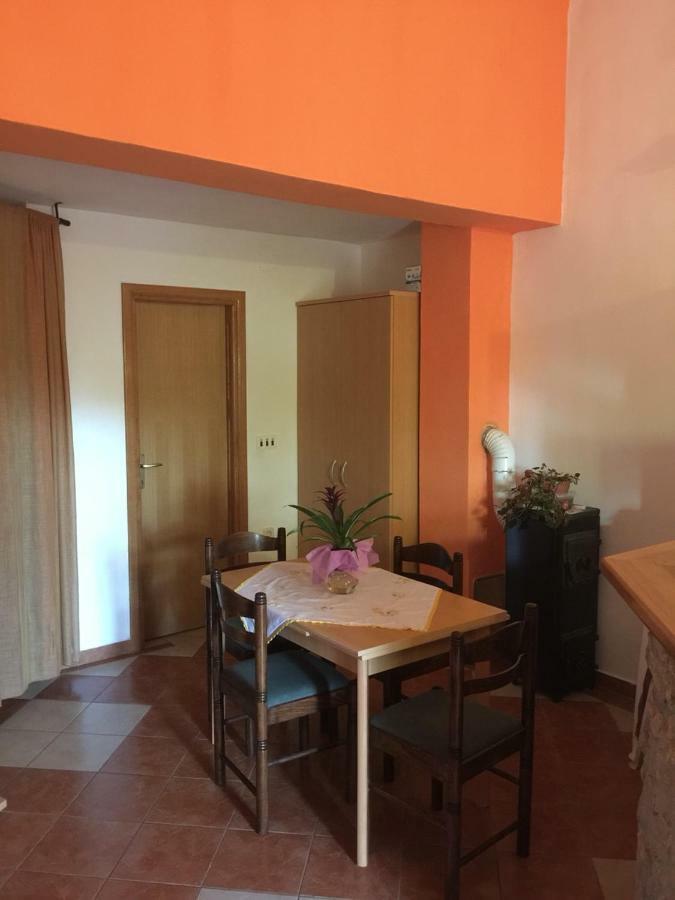 Studio Apartman Hrast 塞利讷 外观 照片